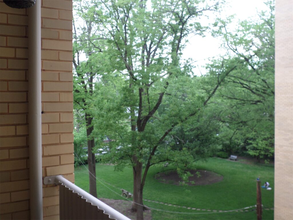 85cdeaac217b41b4a8463ce684efd577